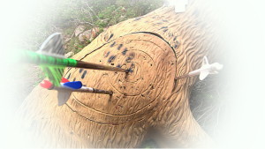 target1